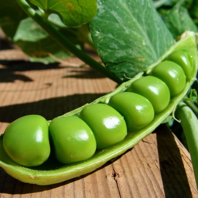 Продам Семена гороха и сои