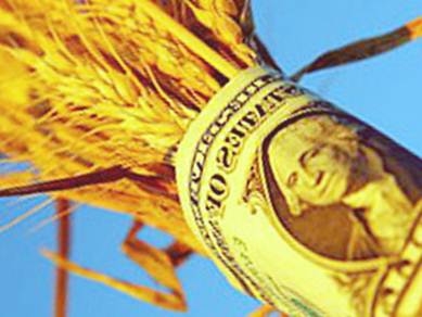 Новые рынки сбыта временно стабилизировали мировые цены на пшеницу