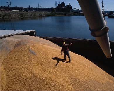 Экспорт российского зерна увеличился более чем на 40%