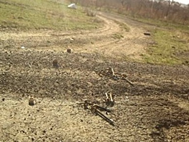 Что вырастет из посеянных мин в Донбассе?