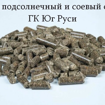 Продам Шрот подсолнечный и соевый оптом - ГК Юг Руси