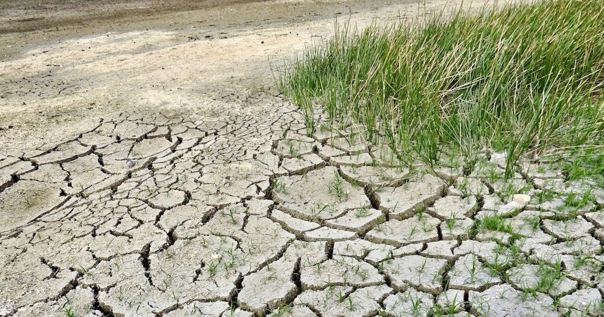 Плодородная почва может исчезнуть на земле в течение 100 лет?