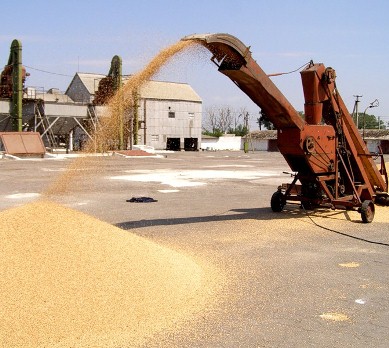 Россия с 1 июля экспортировала уже 9,3 млн тонн зерна