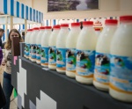 Россия столкнется с перепроизводством молока в 2018 году?