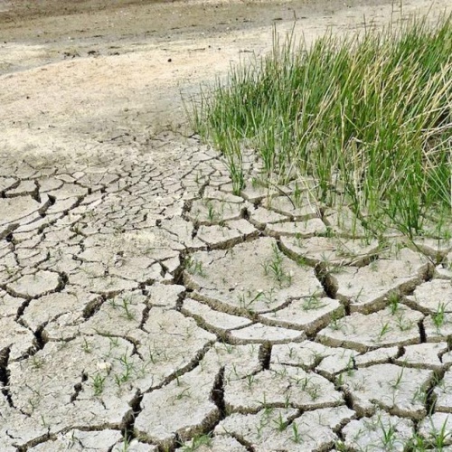 Плодородная почва может исчезнуть на земле в течение 100 лет?
