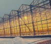 В Татарстане будет построено 1 000 га теплиц