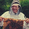 Профессия – пчеловод