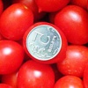 Выращивание томатов черри