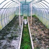 Подготовка почвы для посадки овощей в теплице