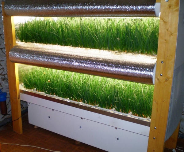 Установка для выращивания зелени по методу гидропоники