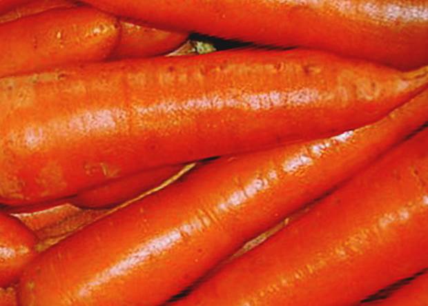 Морковь Колорит фото