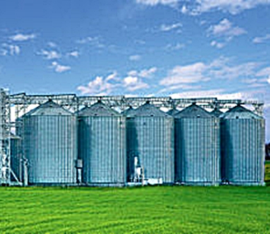 В Мордовии открыли новый комбикормовый завод