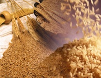 В Азии стали больше потреблять пшеницу
