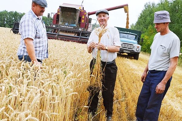 Каждый второй россиянин старше 60 лет занимается сельским хозяйством