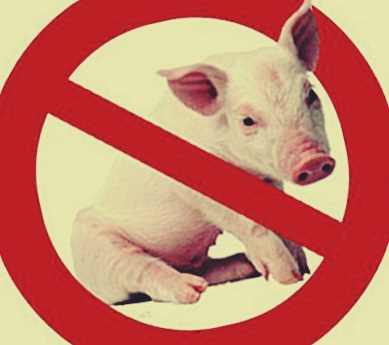 Вспышки африканской чумы угрожают волгоградским свиньям