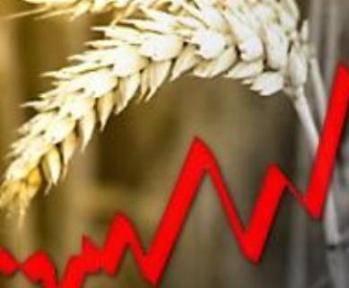 Цены на зерно останутся нестабильными