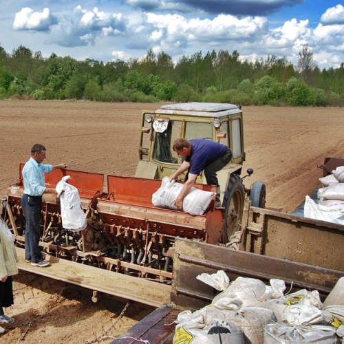 В 2019 году в России могут быть открыты несколько тысяч сельхозкооперативов