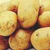 Фото сорта картофеля "Гала"