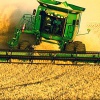 К октябрю в России намолотили почти 100 млн. тонн зерна