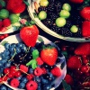 Сбор урожая ягод